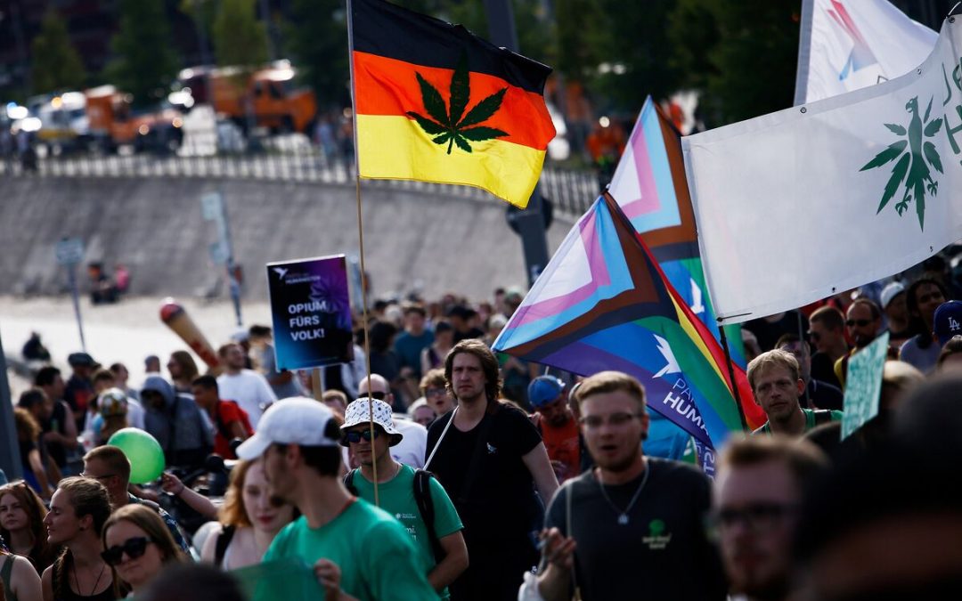 Weed in Germany – The Legalization of Weed in Germany: Current Status and Future Prospects